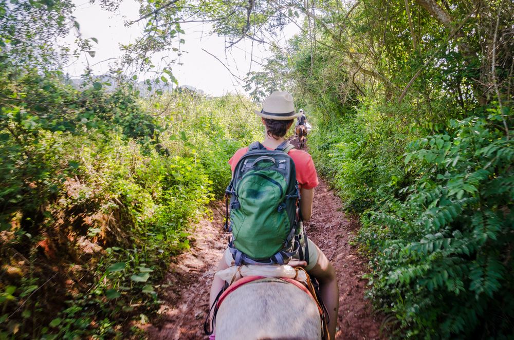 Paseos a caballo en Santa Rita