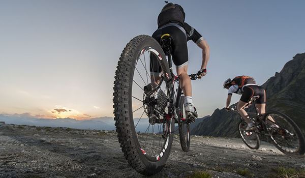 Bicicleta de Montaña