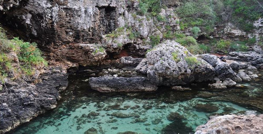 Playas de S’Algar