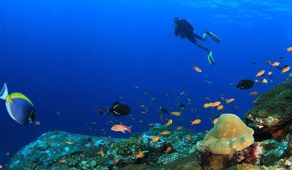 Buceo con Escafandra