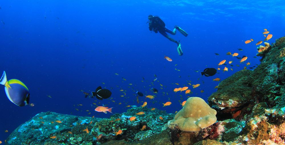 Buceo en Menorca