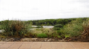 Terreno edificable en Coves Noves en Menorca en venta