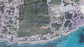 Gran finca rústica con 3,6 ha en Punta Prima